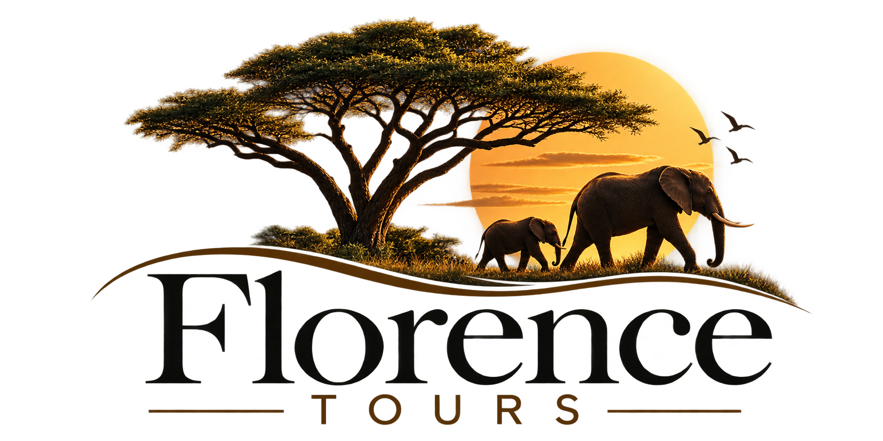 Florence Tours